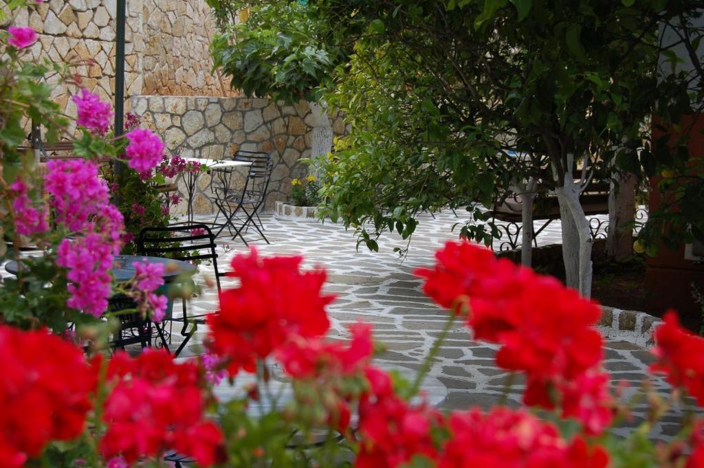 Hotel Villa Marie Сивота Экстерьер фото